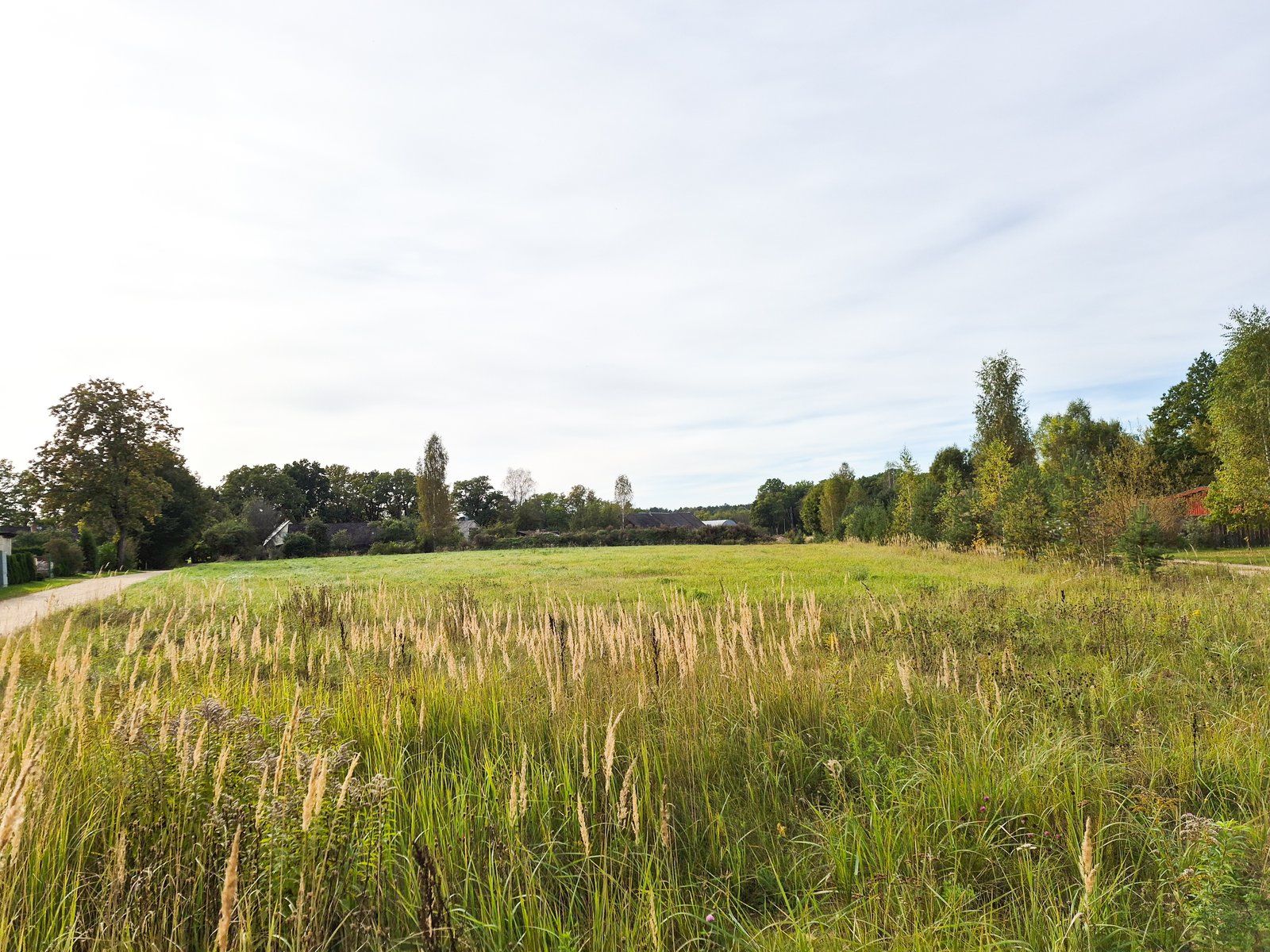 Zemes gabals 8645 m², Kauguru pagasts — attēls 3