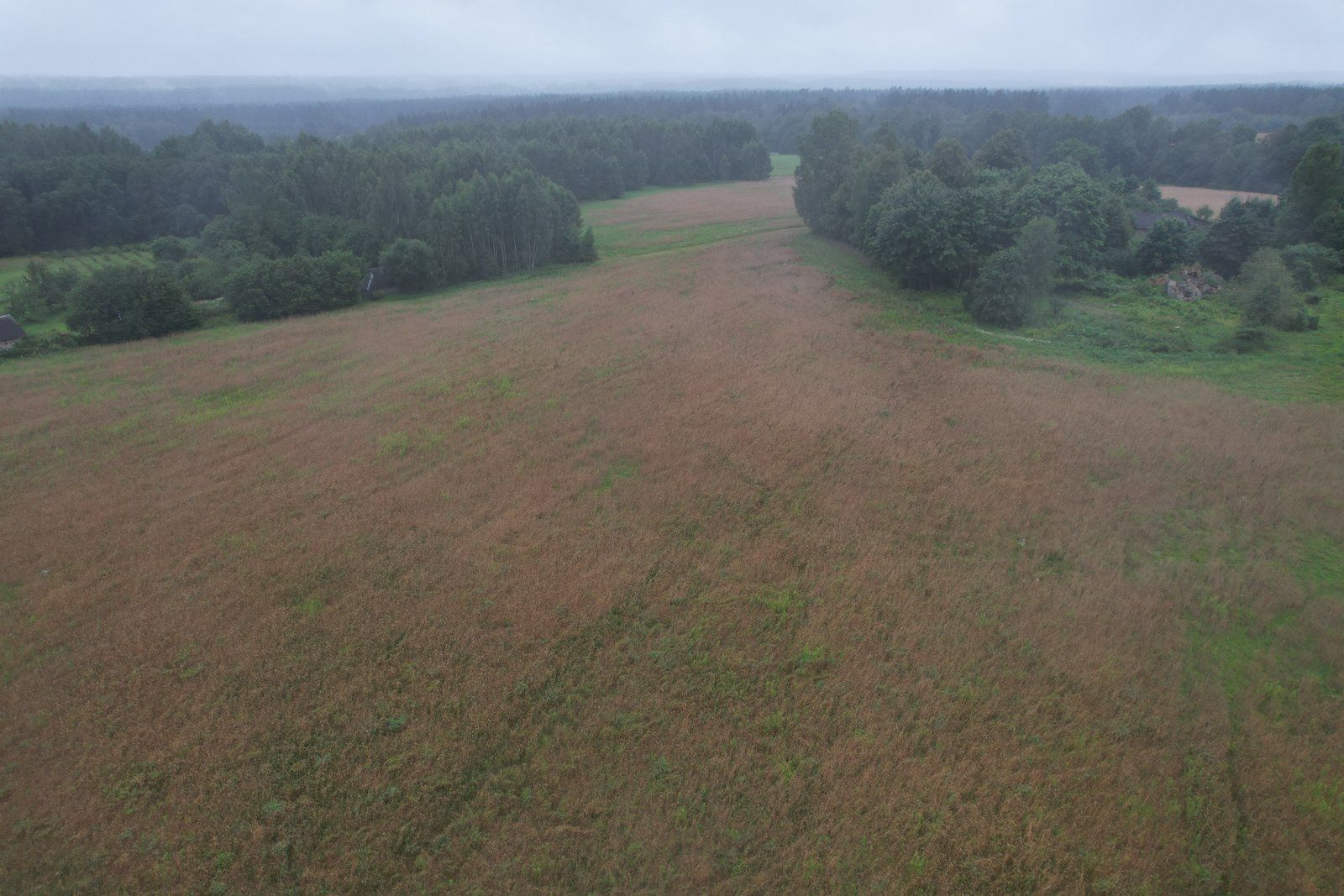 Zemes gabals 18,7 ha, Raiskuma pagasts — attēls 5