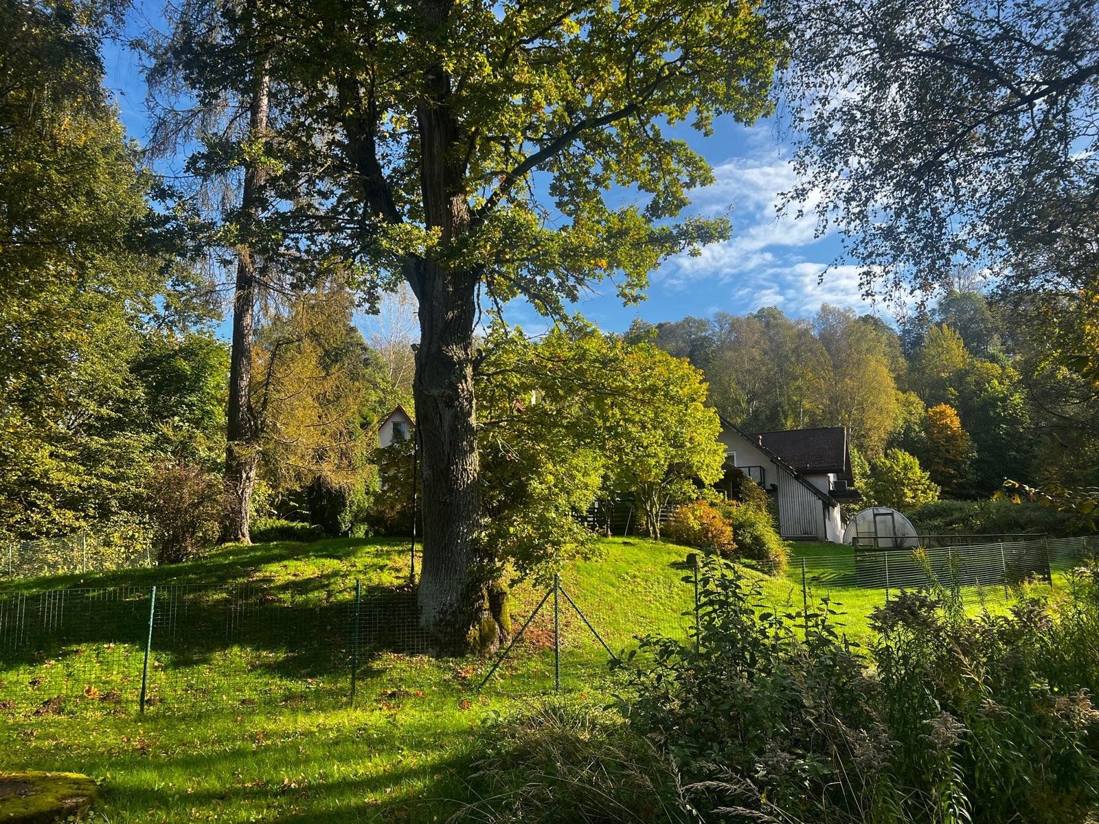 Privātmāja 369 m², Paceplīši 1, Sigulda — attēls 3