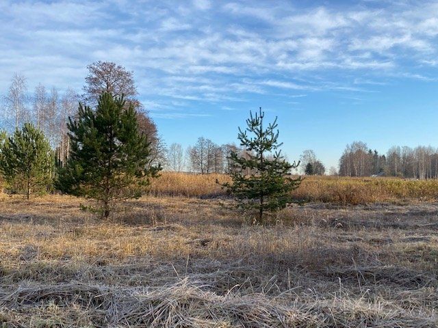 Zemes gabals 2202 m², Dzilnu iela 7A, Carnikavas pagasts — attēls 3