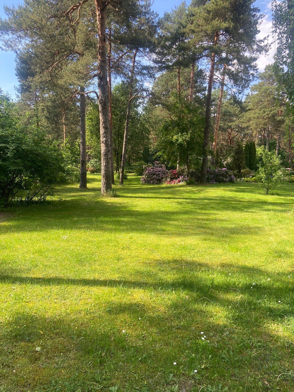 Zemes gabals 1200 m², Kāpu prospekts 22, Rīga — attēls 3