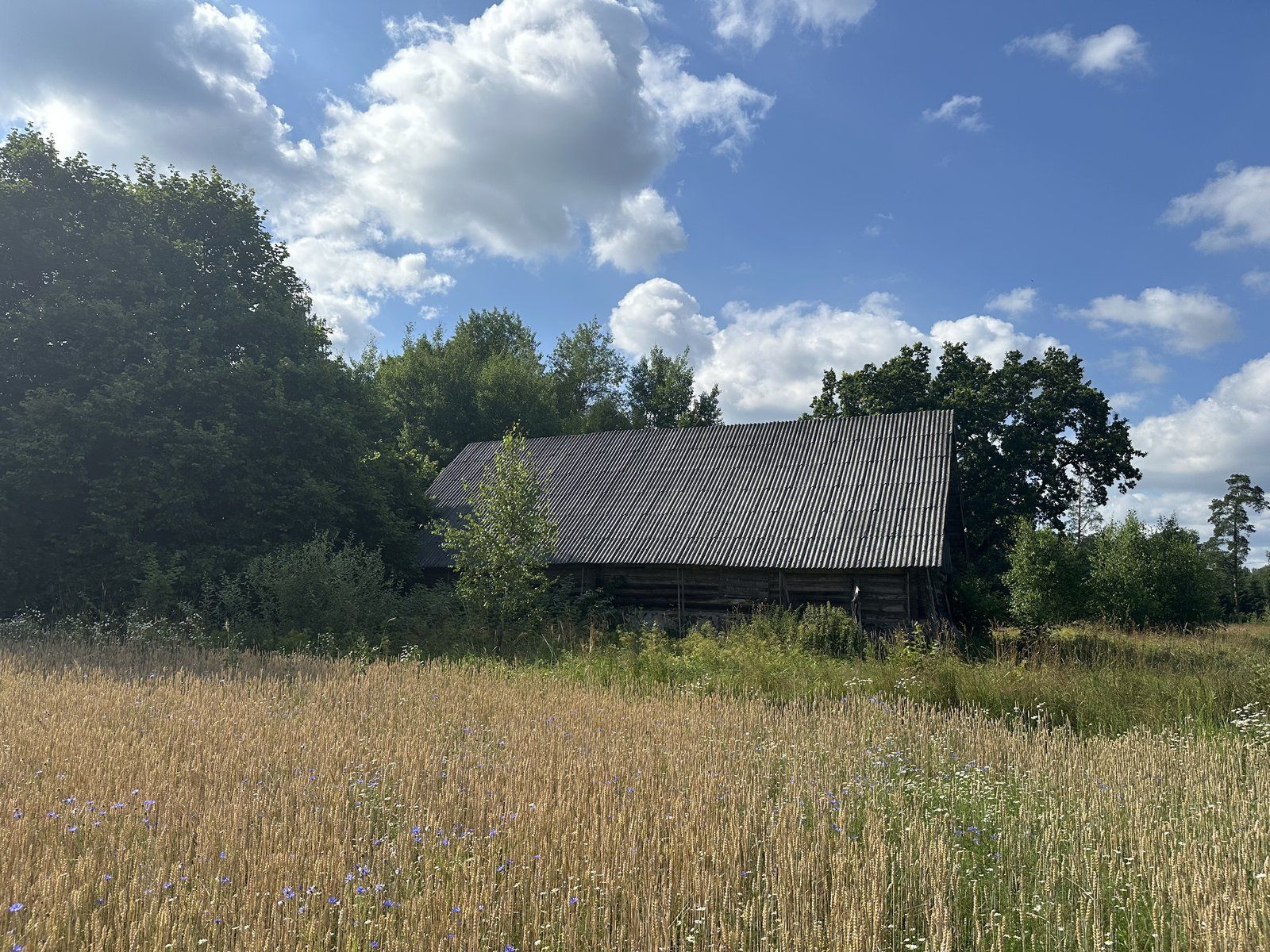 Privātmāja 75 m², Lāči, Matīšu pagasts — attēls 5