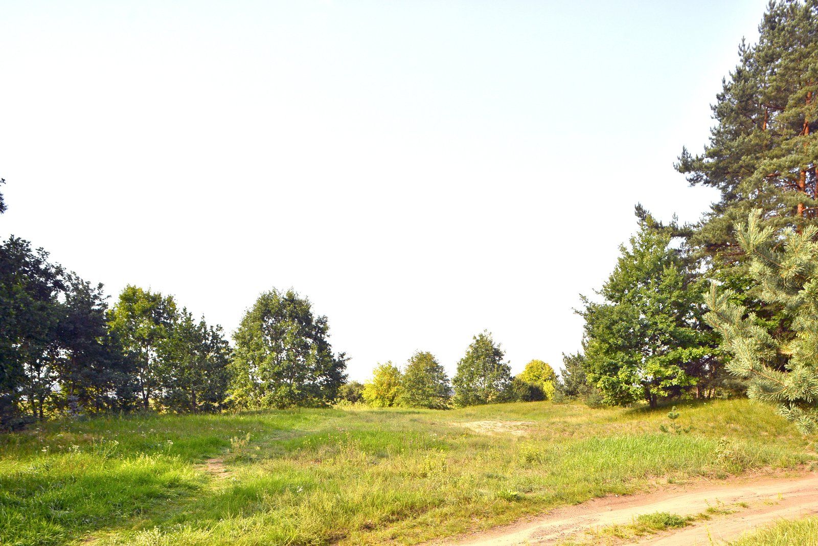 Zemes gabals 2,13 ha, Jaunciema gatve, Rīga — attēls 2