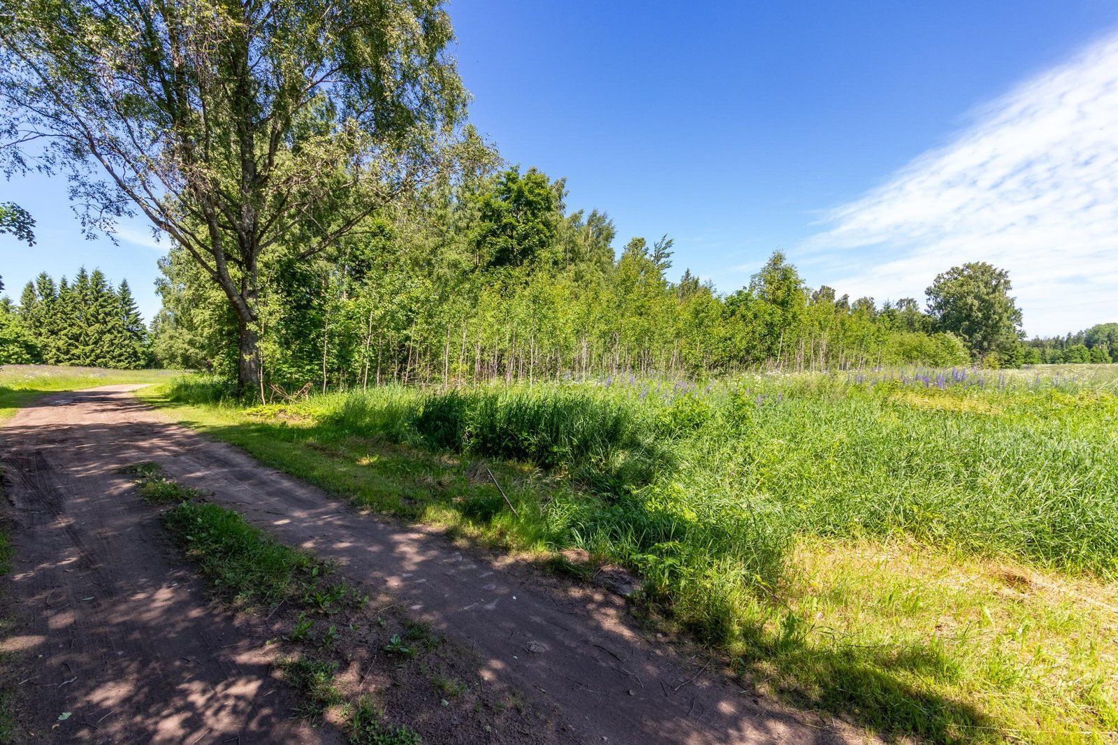 Zemes gabals 11,2 ha, Siguldas pagasts — attēls 3
