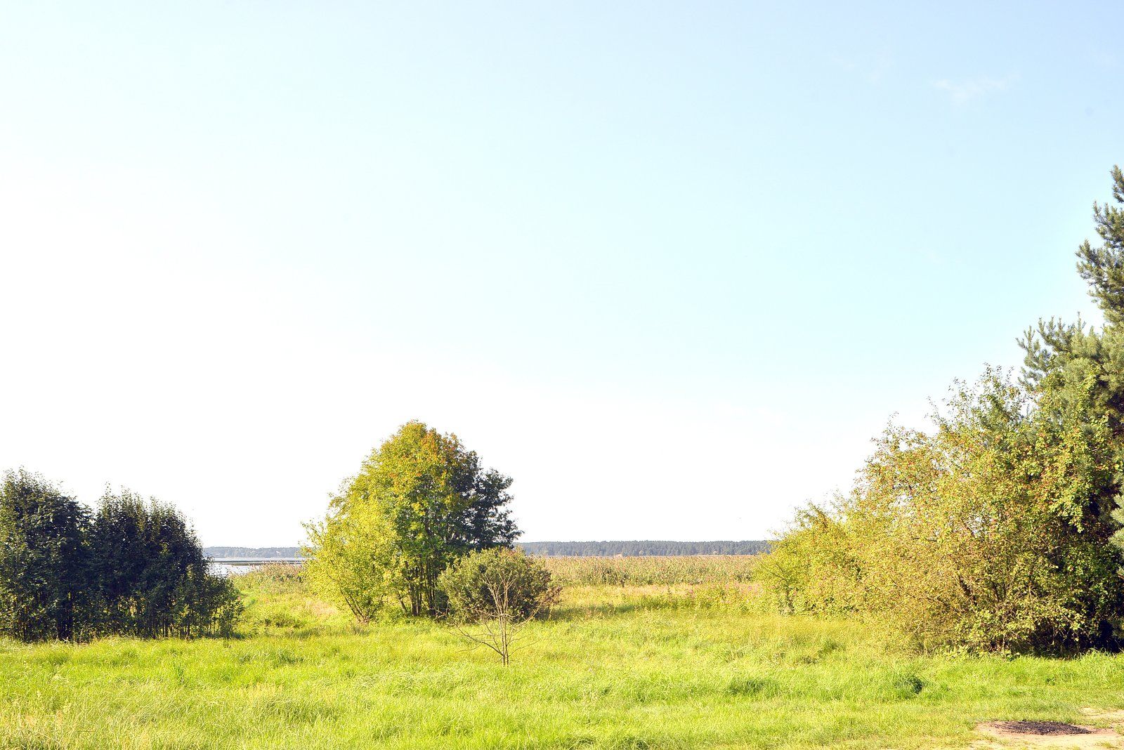 Zemes gabals 2,13 ha, Jaunciema gatve, Rīga — attēls 5