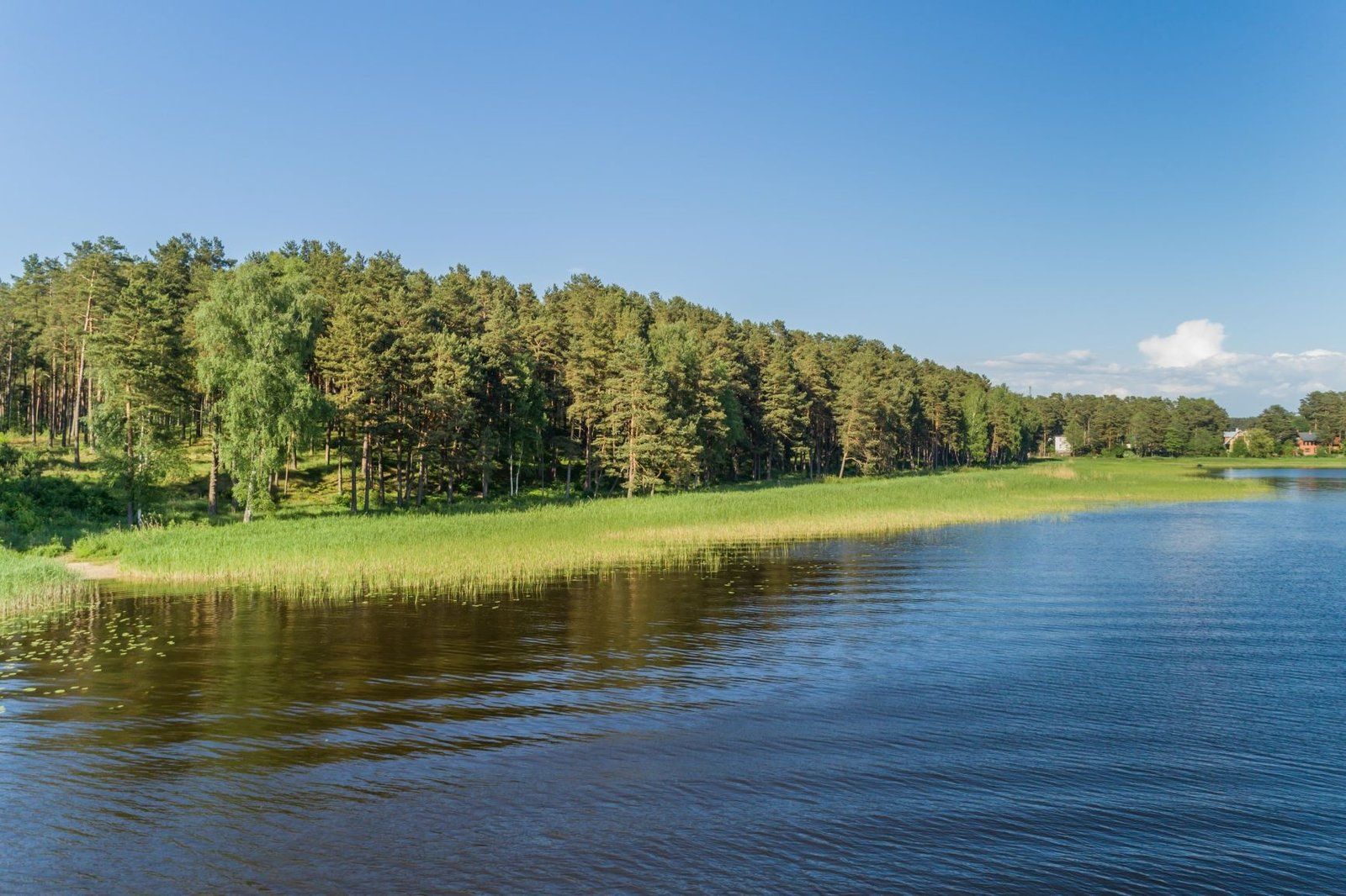 Zemes gabals 4453 m², Laimdotas iela 7, Carnikavas pagasts — attēls 5