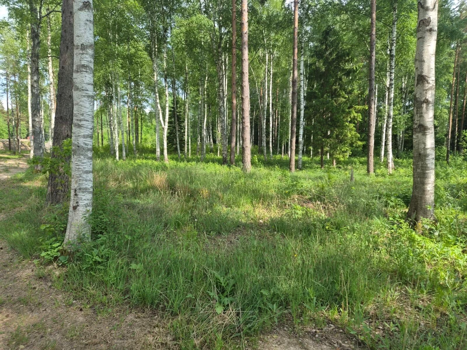 Zemes gabals 1,79 ha, Ārlavas pagasts — attēls 2