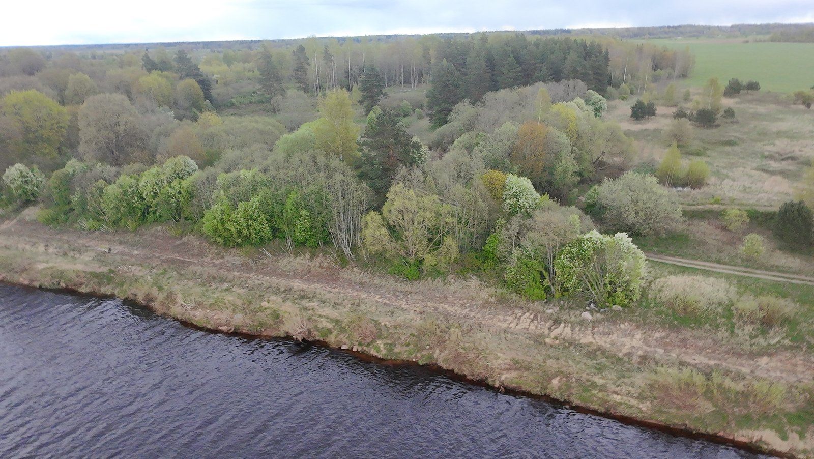 Zemes gabals 1,56 ha, Salas pagasts — attēls 2