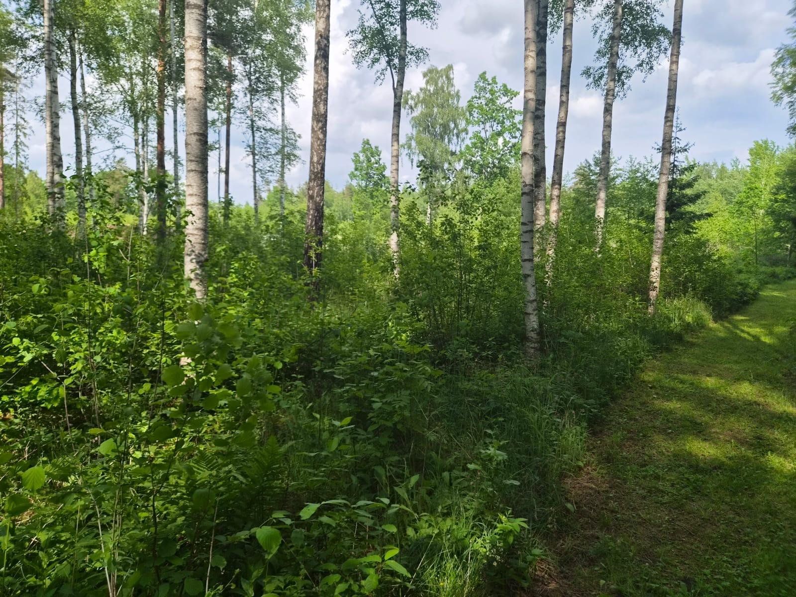 Zemes gabals 1,79 ha, Ārlavas pagasts — attēls 4