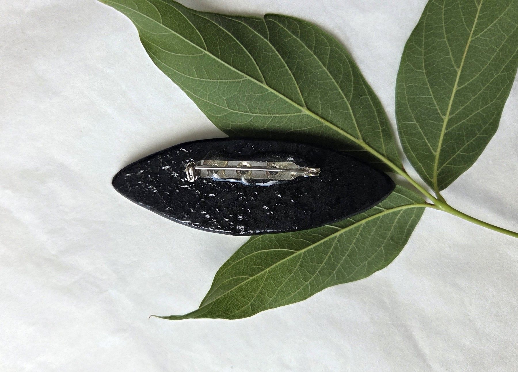 Piespraude Ledene, melnā krāsā — attēls 2