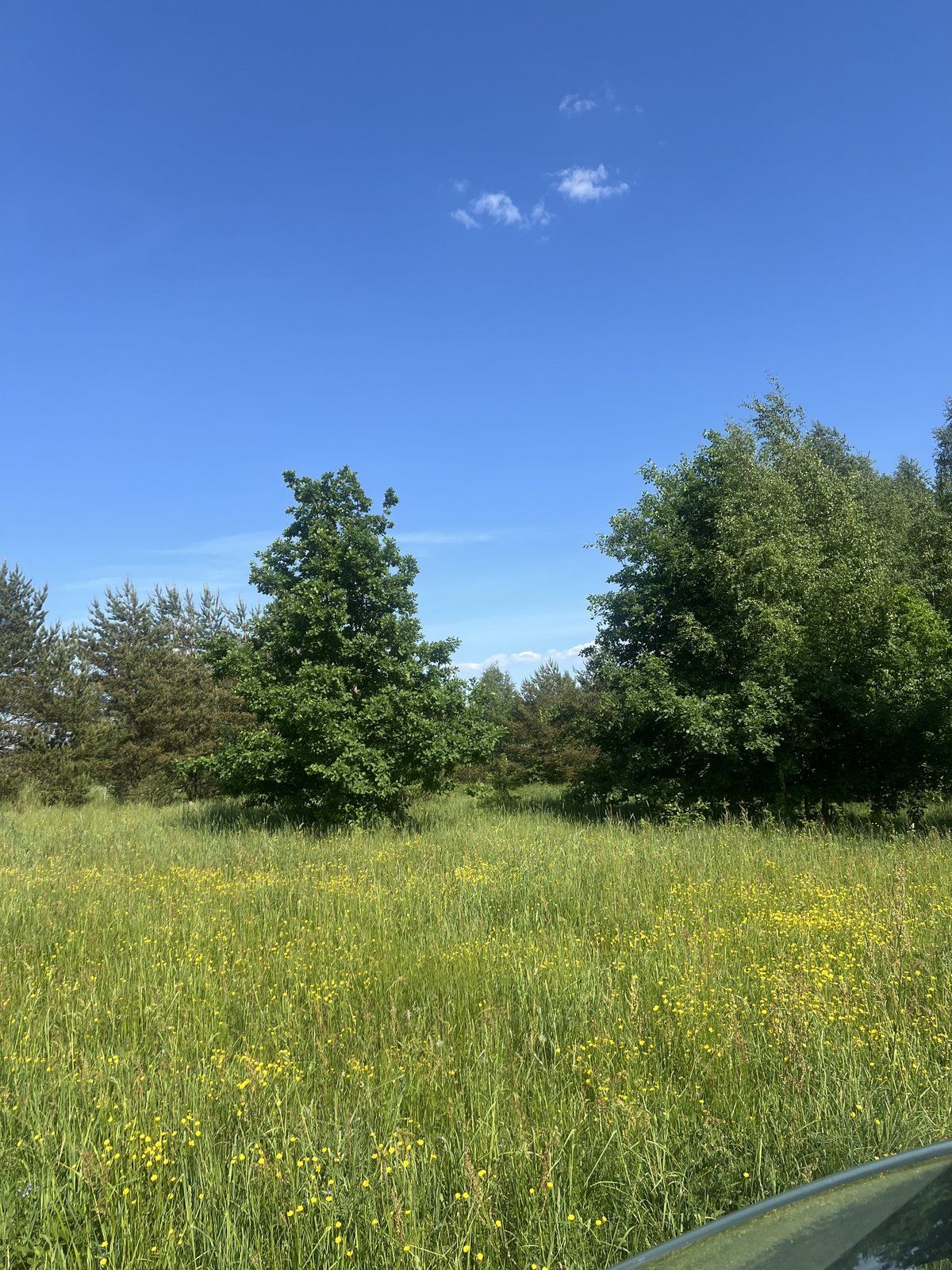 Zemes gabals 8081 m², Smilšu iela, Valdemārpils — attēls 2