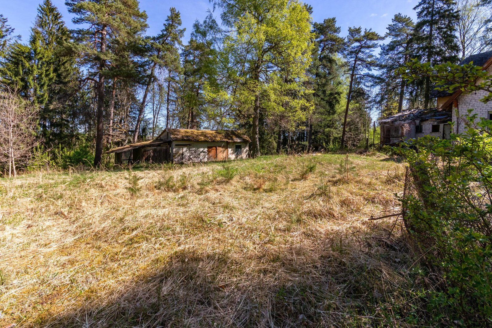 Zemes gabals 1,62 ha, Atvasītes, Krustiņi — attēls 5
