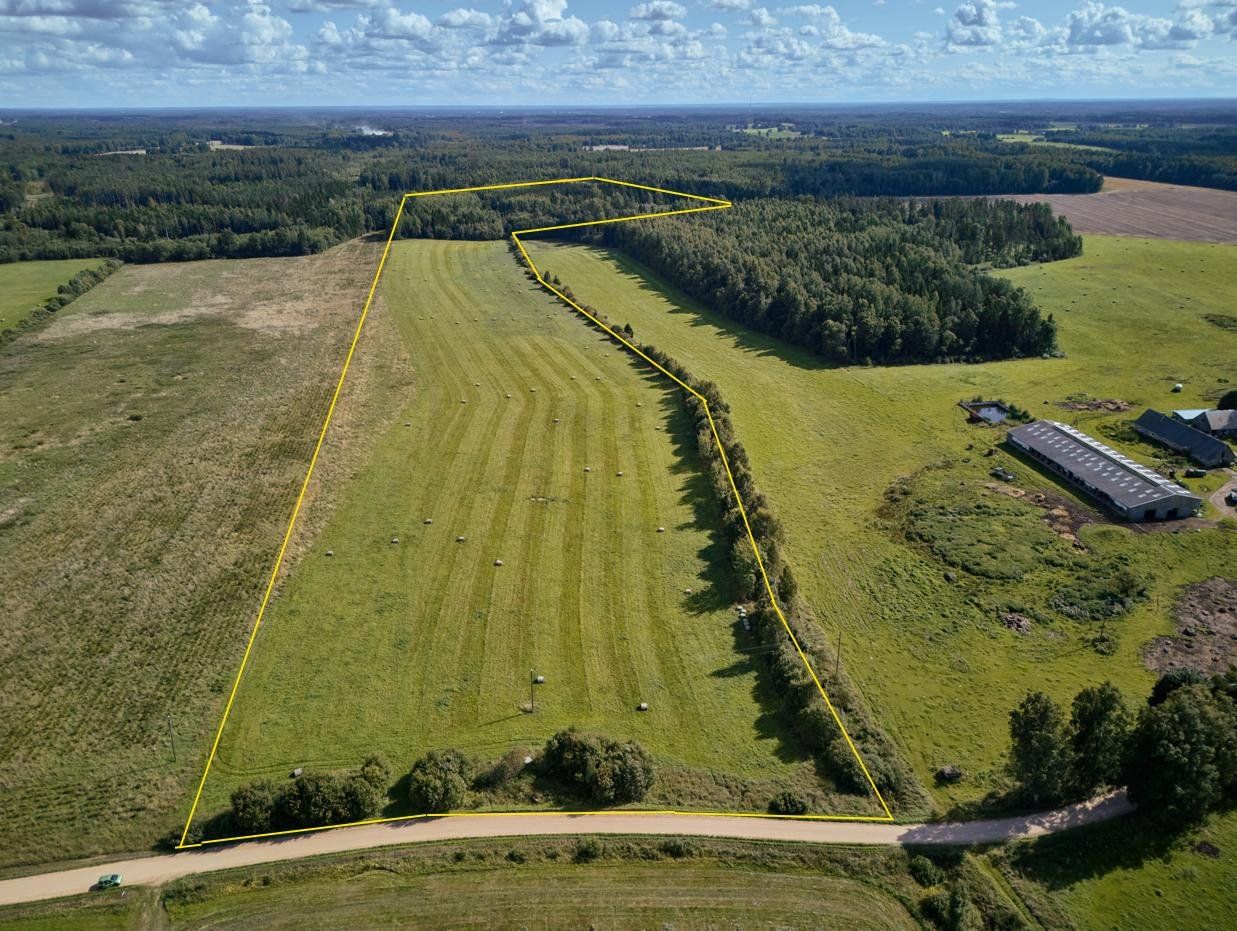 Zemes gabals 1000 ha, Burtnieku pagasts — attēls 2