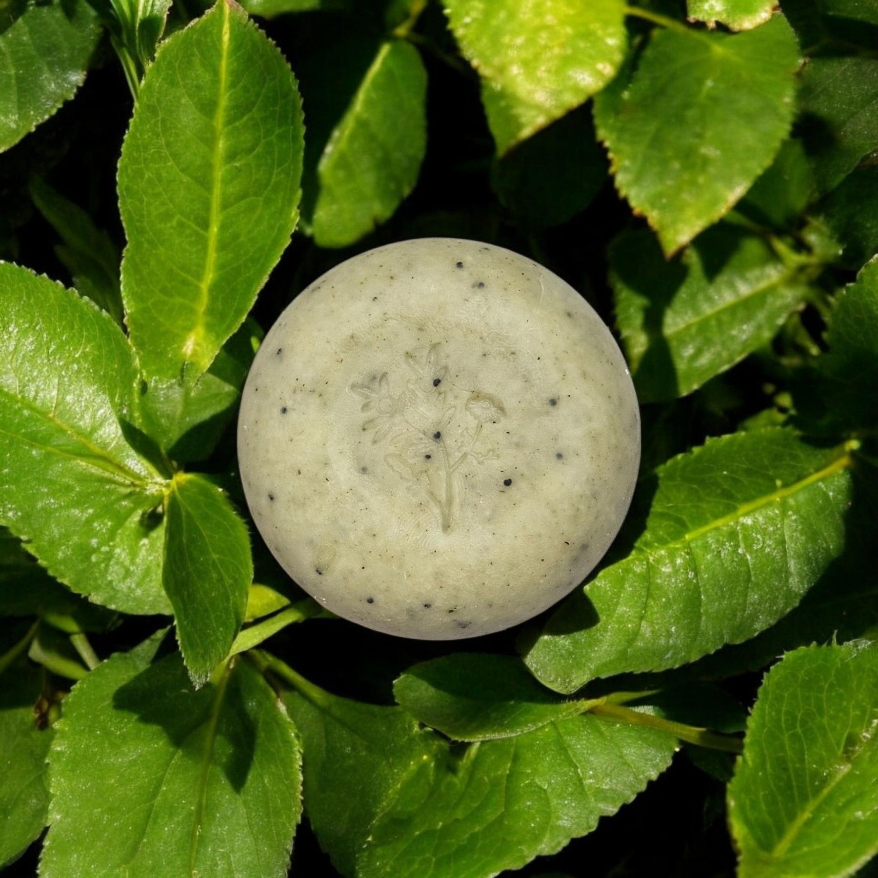 Cietās ziepes MARUSHA, citrusu aromāts, 85 g — attēls 2