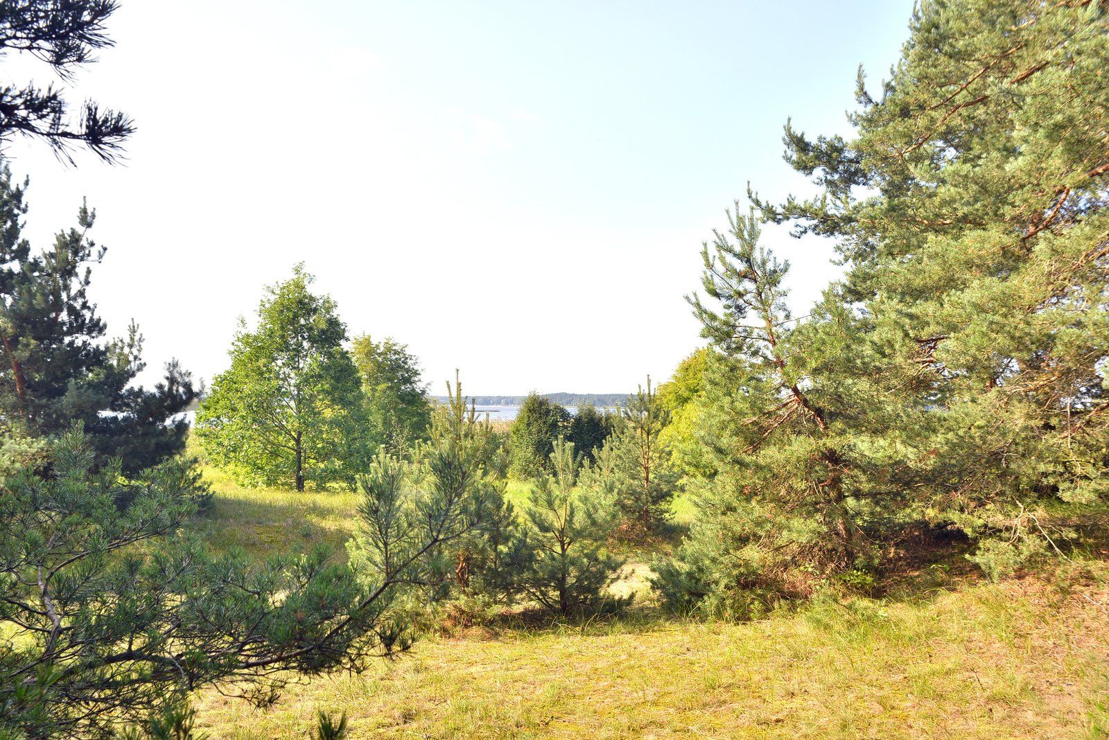 Zemes gabals 2,13 ha, Jaunciema gatve, Rīga — attēls 4