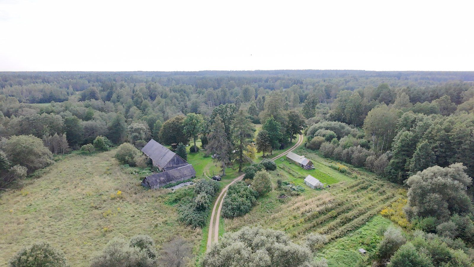 Zemes gabals 2,5 ha, Baldones pagasts — attēls 4