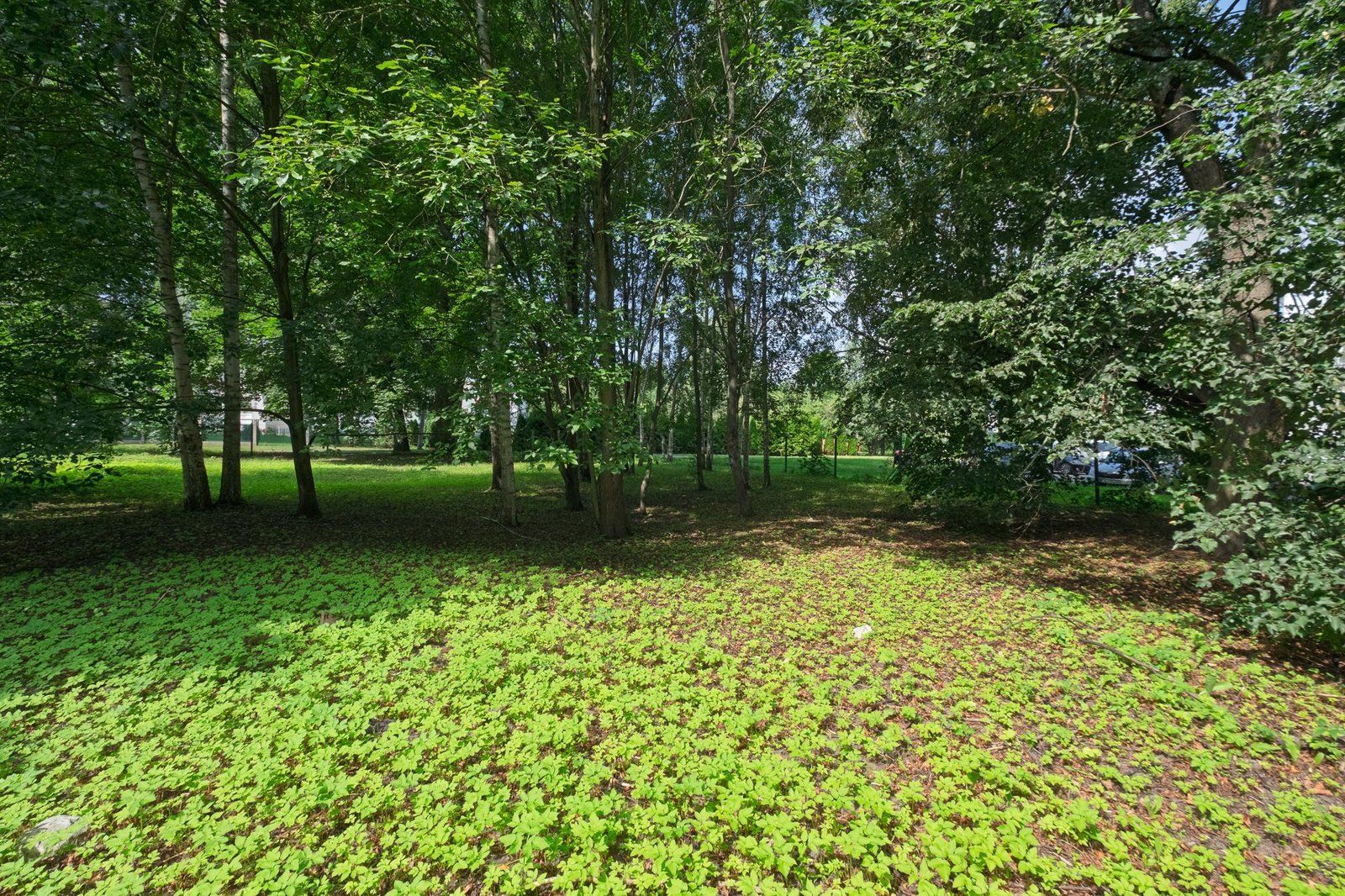 Zemes gabals 2209 m², Rīga — attēls 3