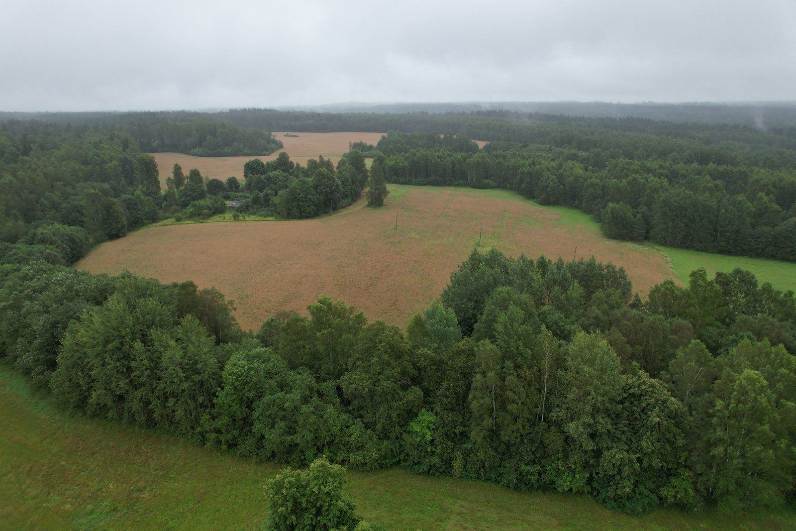 Zemes gabals 18,7 ha, Raiskuma pagasts — attēls 2
