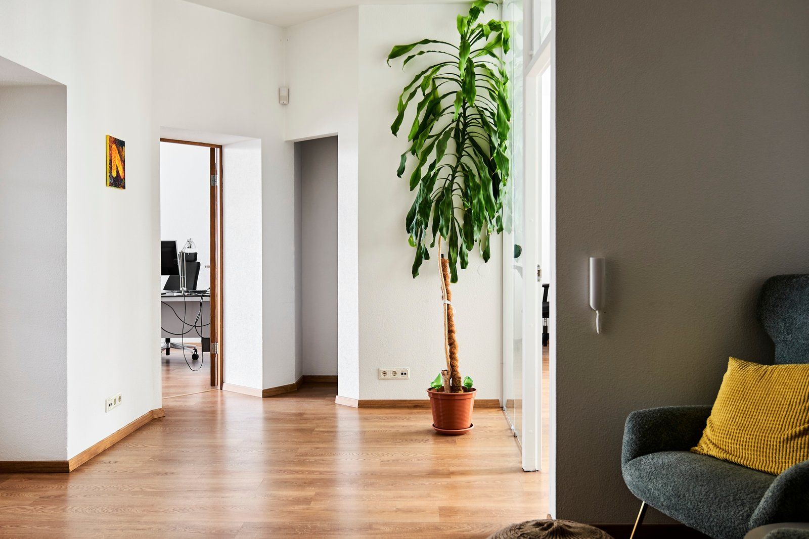 5 istabu dzīvoklis, Antonijas iela 24, Centrs — attēls 3