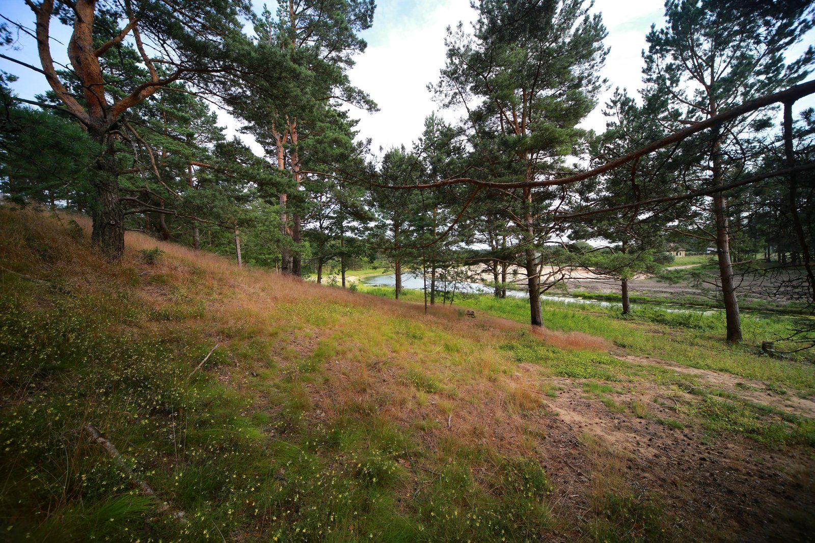 Zemes gabals 4748 m², Zābaku iela 19, Ādažu pagasts — attēls 3
