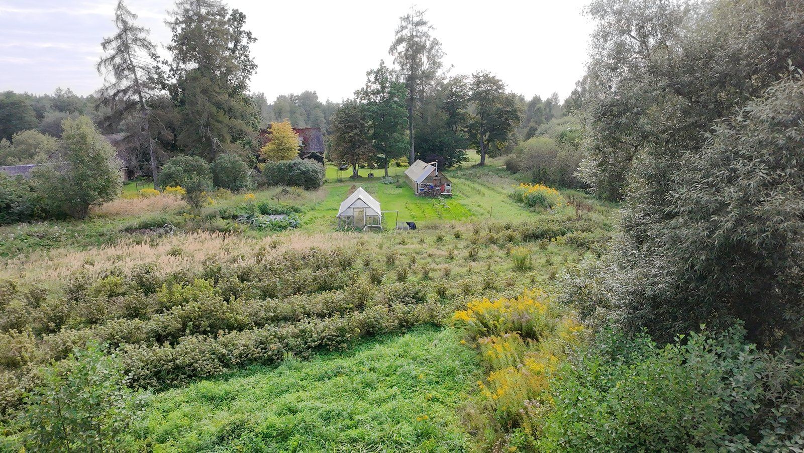 Zemes gabals 2,5 ha, Baldones pagasts — attēls 3