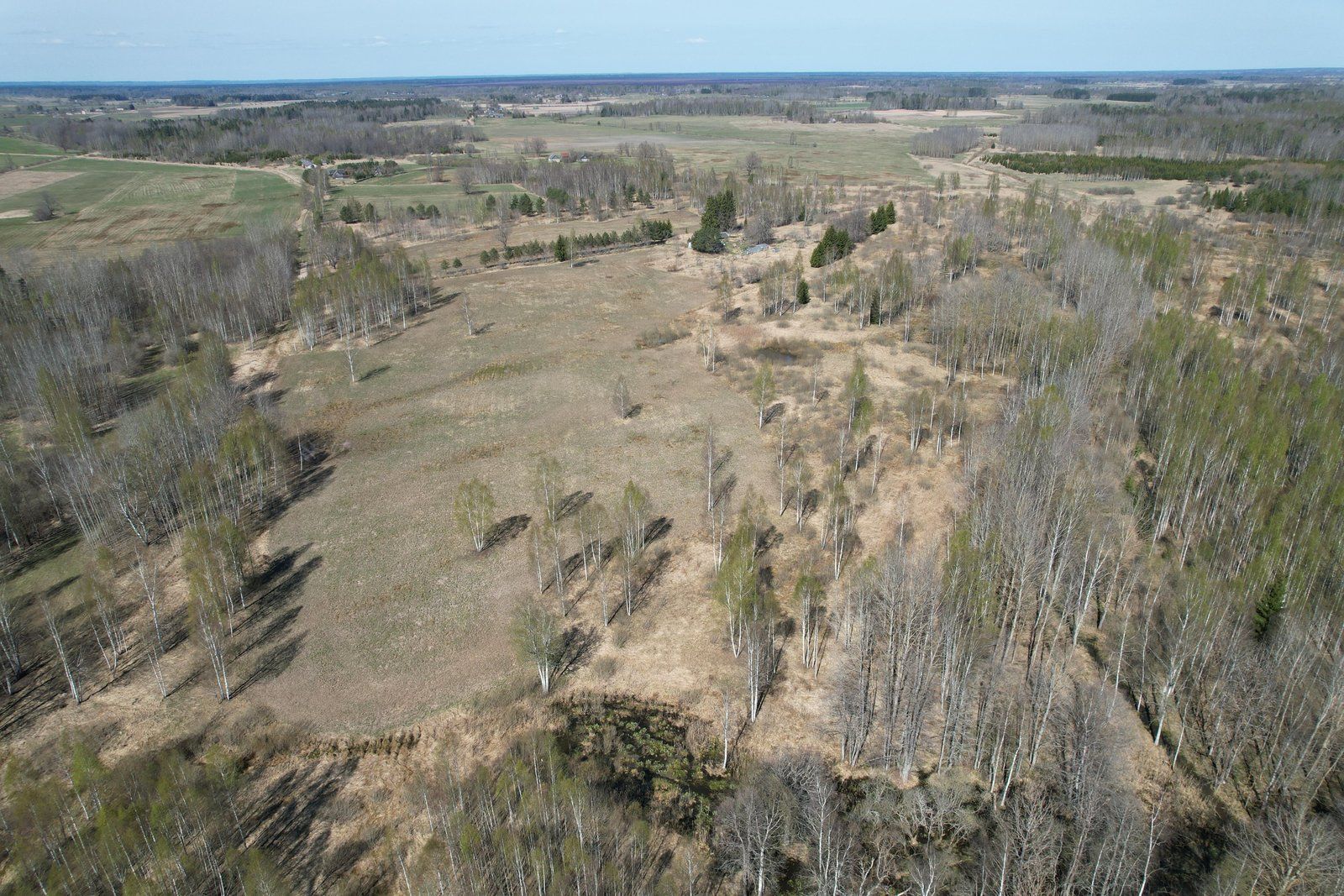 Zemes gabals 22,9 ha, Rožupes pagasts — attēls 2