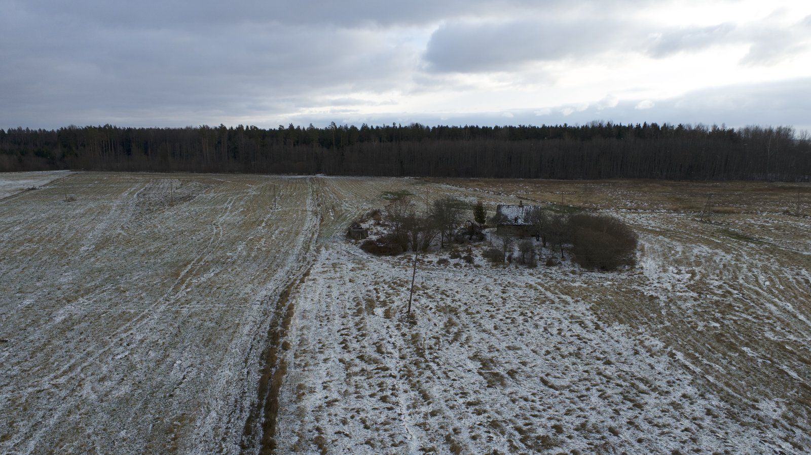 Zemes gabals 7,6 ha, Ošupes pagasts — attēls 4