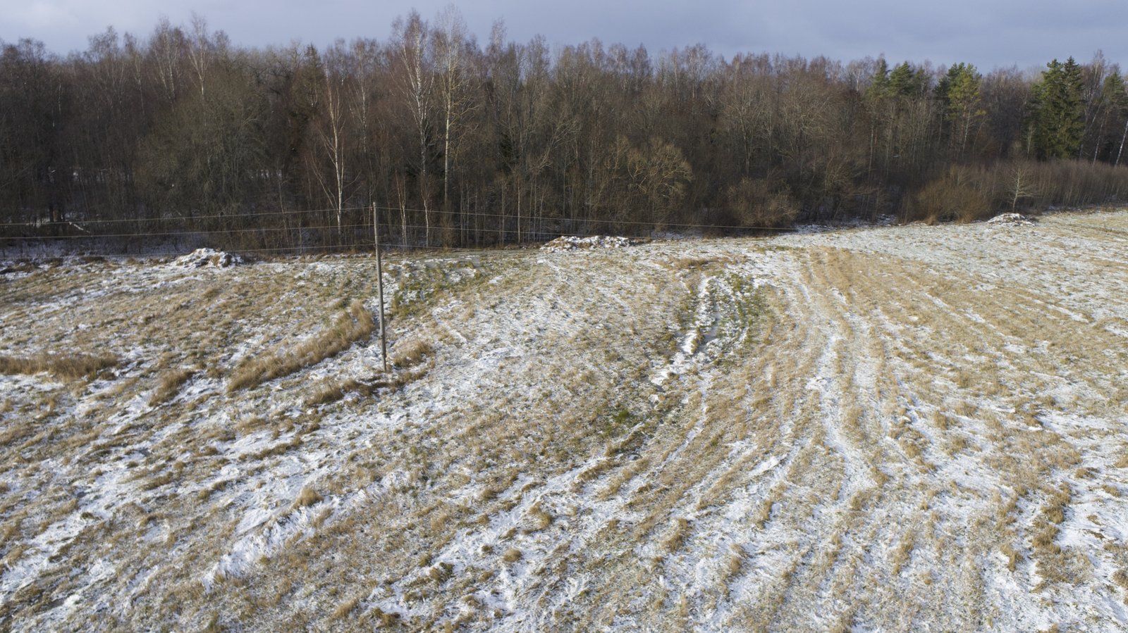 Zemes gabals 7,6 ha, Ošupes pagasts — attēls 5