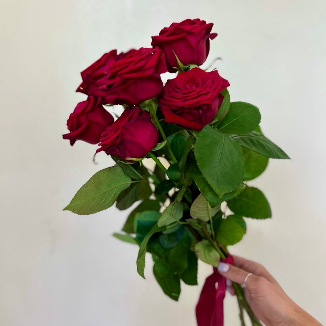 Klasiskas sarkanas vai rozā rozes — attēls 2