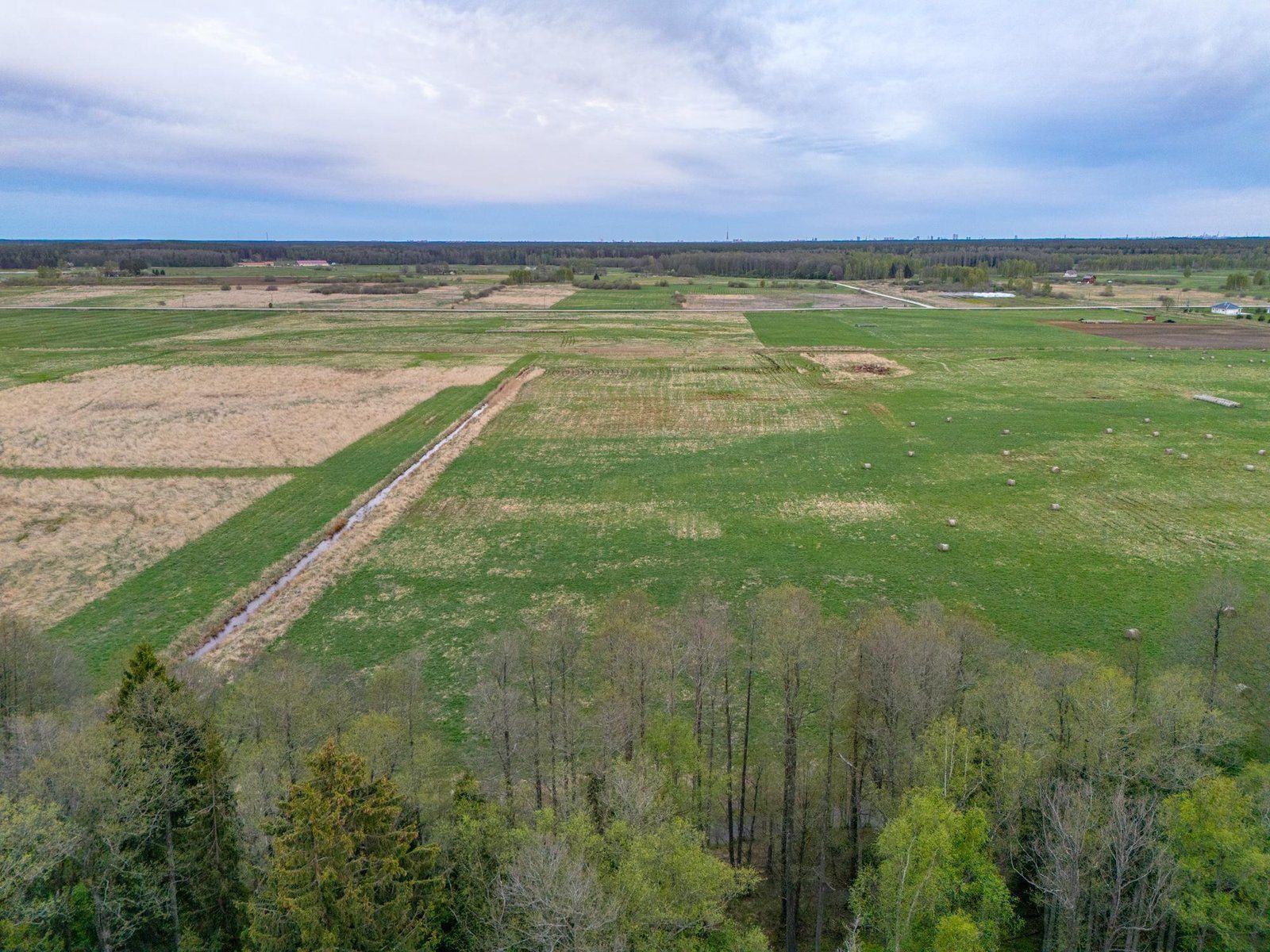 Zemes gabals 4,1 ha, Carnikavas pagasts — attēls 2