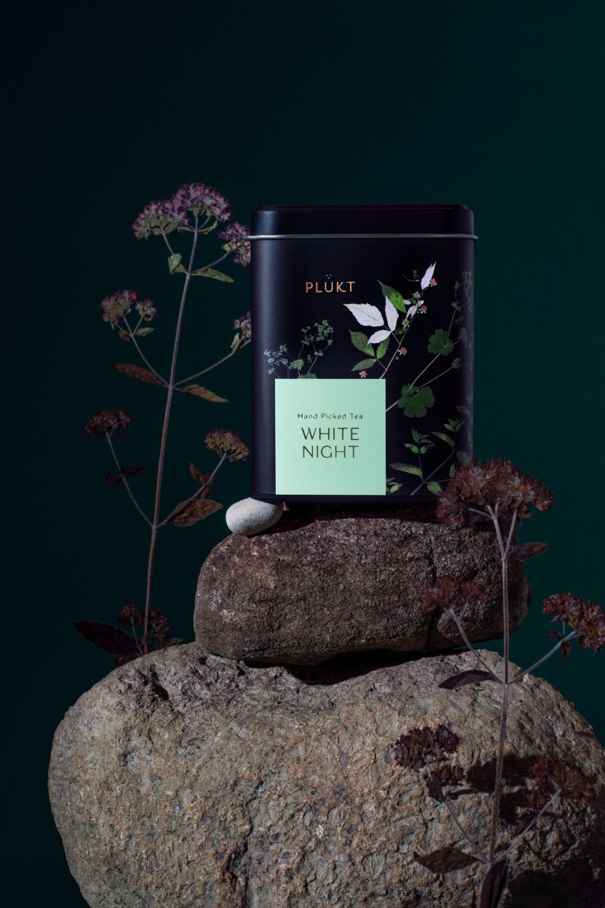 Zāļu tēja PLŪKT, piparmētra, 40 g — attēls 2