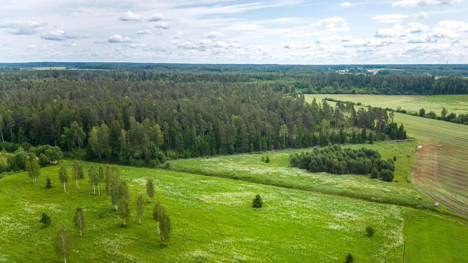 Zemes gabals 7,2 ha, Ragana — attēls 3