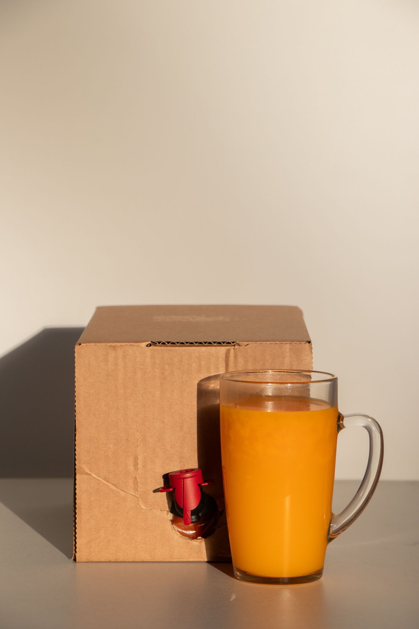 Smiltsērkšķu sīrups, 5 kg (maiss kastē ar krānu) — attēls 2